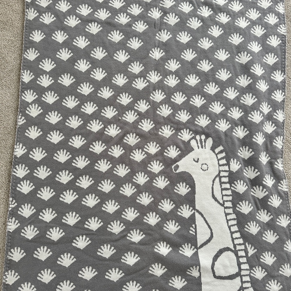 Pottery Barn Giraffe Baby Blanket with plush sherpa